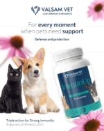 Valsam Vet ImmunUp - Immune System Support for Dogs and Cats - Image 4