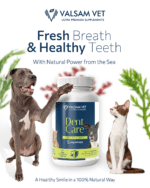 Valsam Vet DentCare - Oral Health Support for Dogs and Cats – Bild 4